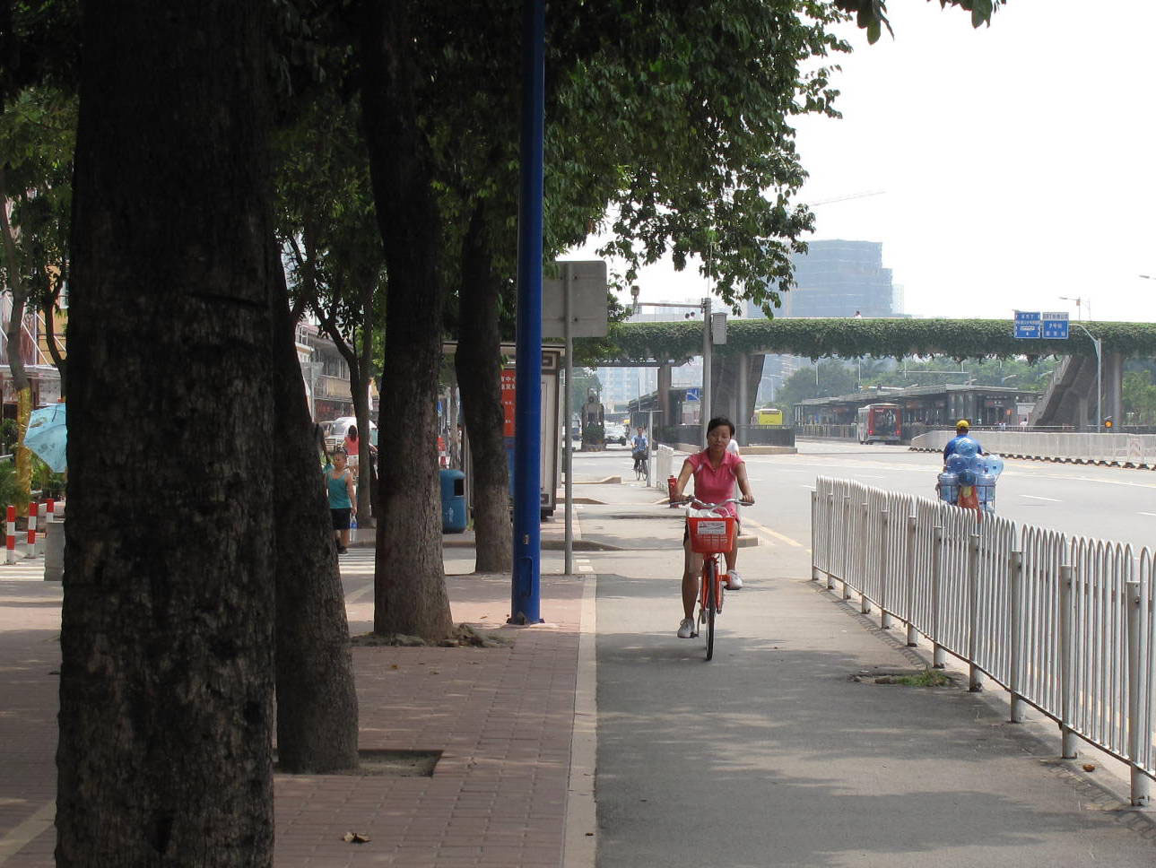 Fig. 31.5 A bike lane along the BRT in Guangzhou, China, located between the roadway and trees.