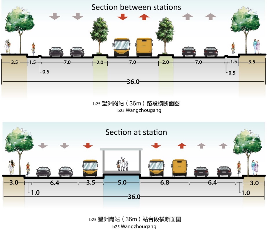 Fig. 25.57 Cross-section at and between stations at Wangzhougang BRT station in Yichang.