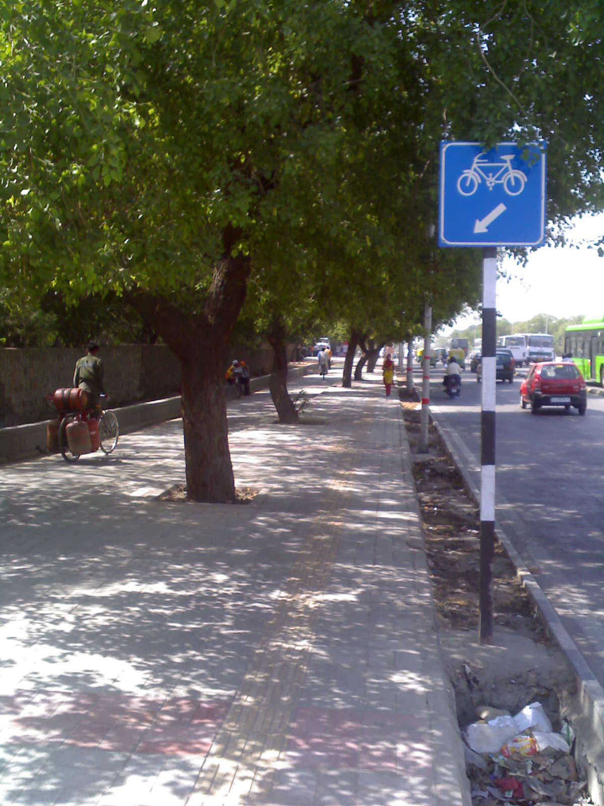 Fig. 31.4 A protected bike lane—which provides physical separation from the roadway—along the BRT in Delhi, India, located between the roadway and trees.