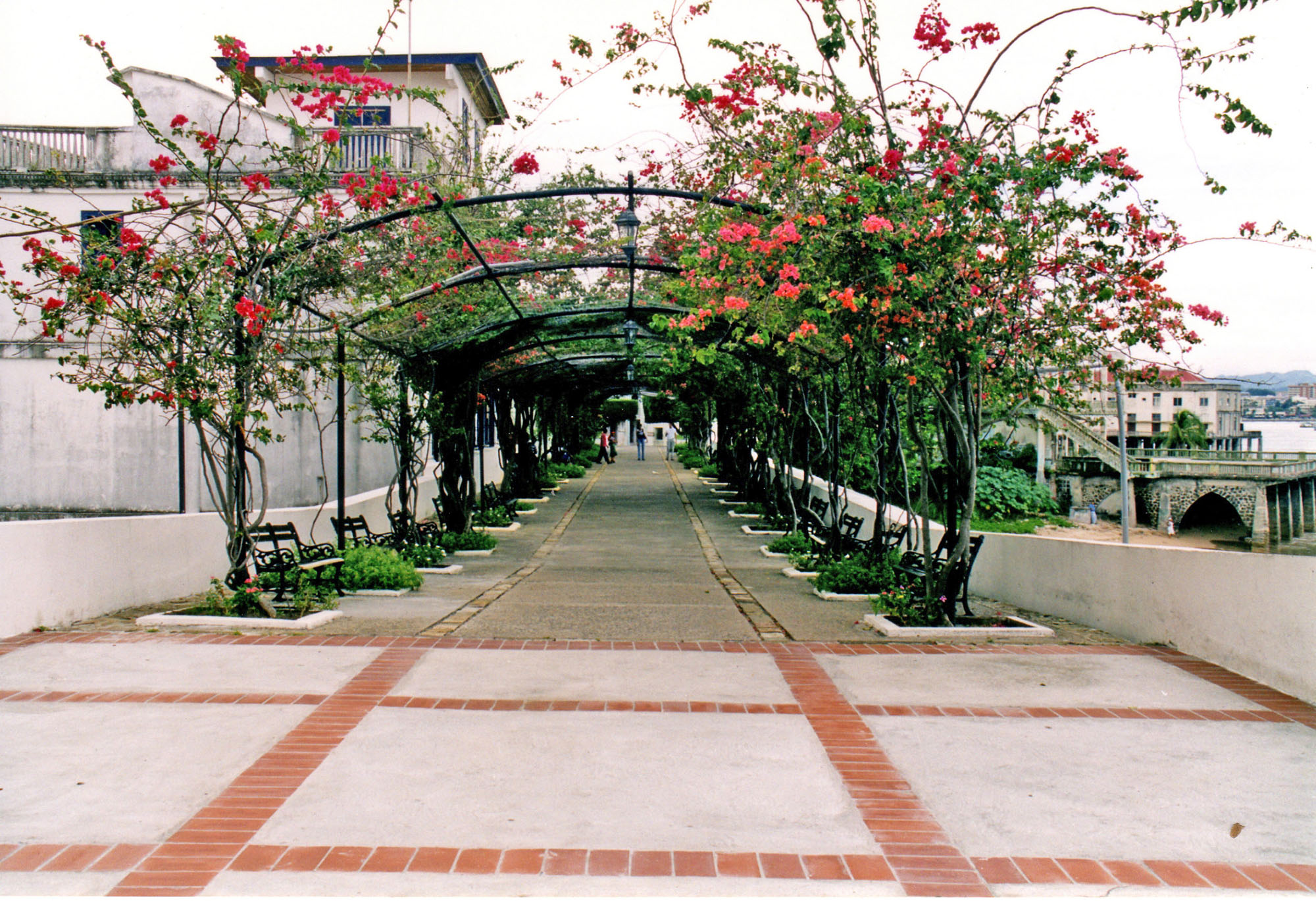 Fig. 29.14 Shade cover dramatically reduces pavement temperatures and makes walking more comfortable, as demonstrated by this walkway in Panama City, Panama.